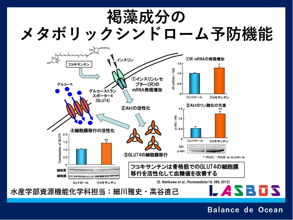 コース: 資源機能化学科の紹介コース | LASBOS Moodle